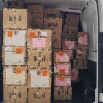 WhatsApp Image 2023-03-18 at 10.17.45 (1)