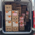 WhatsApp Image 2023-03-18 at 10.17.45